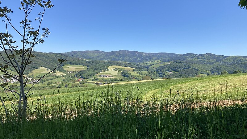 Kartta