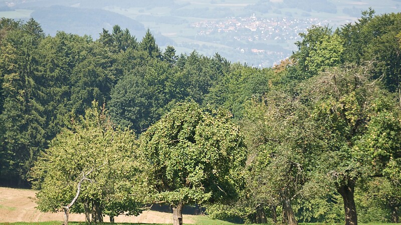 Kartta