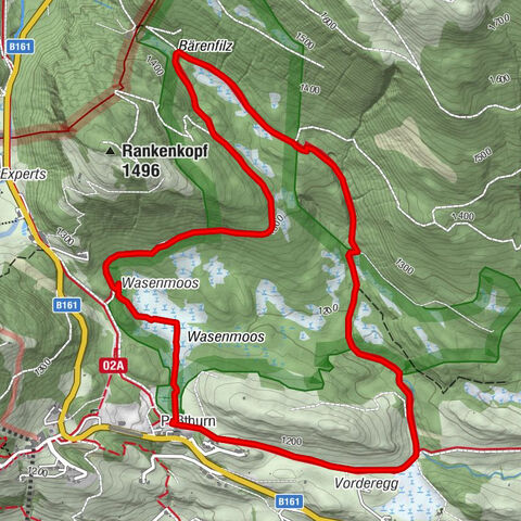 Mittersill: Raised bog Wasenmoos path no. 77