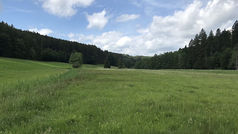 Kartta