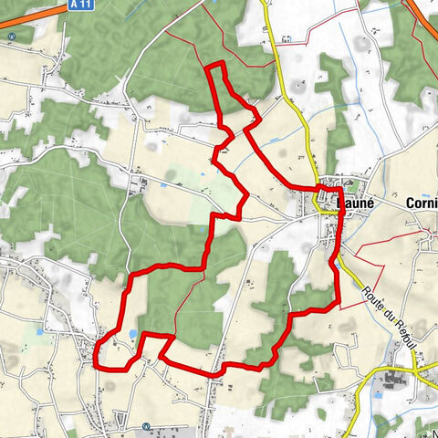 Scents of the undergrowth walk