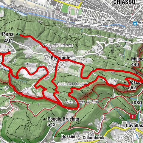 Itinerary among vineyards: the viticultural techniques