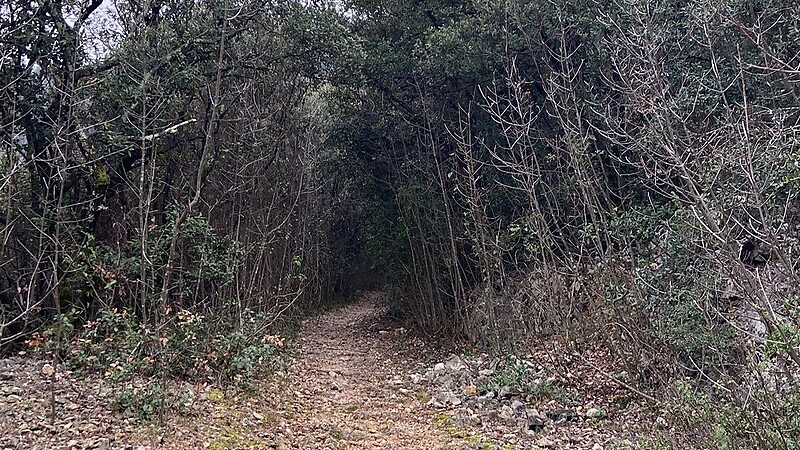 Kartta