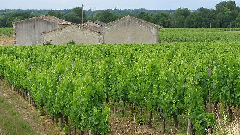 Kartta