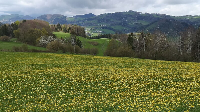 Kartta