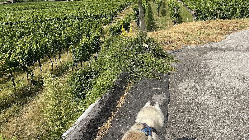 Kartta