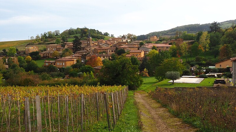 Kartta