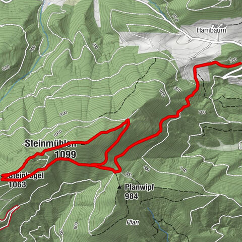 Steinmühlen (1099m) und Steinkogel (1063m) ab Parkplatz Hambaum