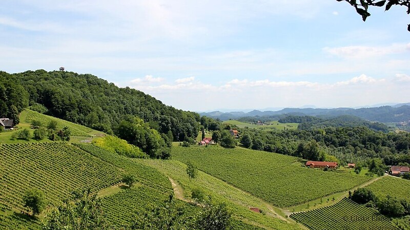 Kartta