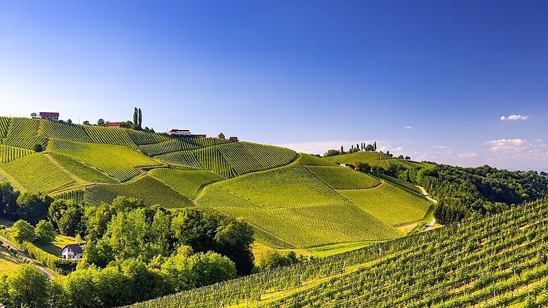 Kartta