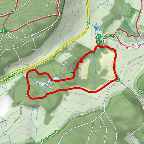 Bernau im Schwarzwald: Zauberwald-Pfad