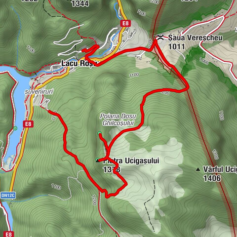 Gheorgheni - Piatra Ucigașului - Cabină Panoramică (acces cu programare) - Șaua Vereșcheu