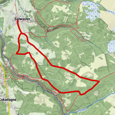 La Cagna - Grotte Notre-Dame de Lourdes de Solwaster - Maison Fagnes - Solwaster