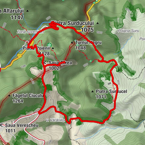 Bicaz-Chei - Saua Țifrea - Cascada Chighenilor