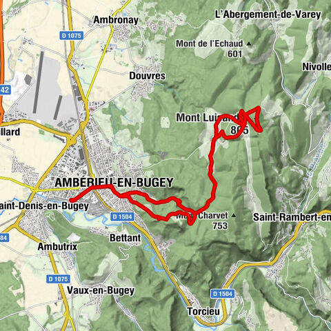 Ambérieu-en-Bugey - Église Saint-Symphorien - Église Saint-Roch - Mont Luisandre