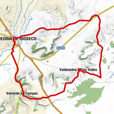 Medina de Rioseco - Ermita del Cristo del Humilladero - Palacios de Campos - San Vicente Mártir