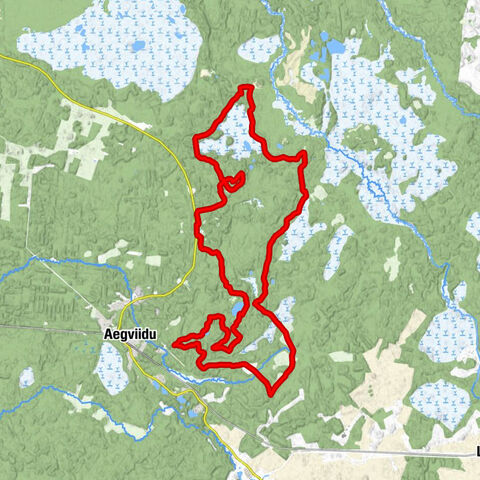 Pillapalu küla - Laudissalu mägi - Laudissalu - Vargamäe