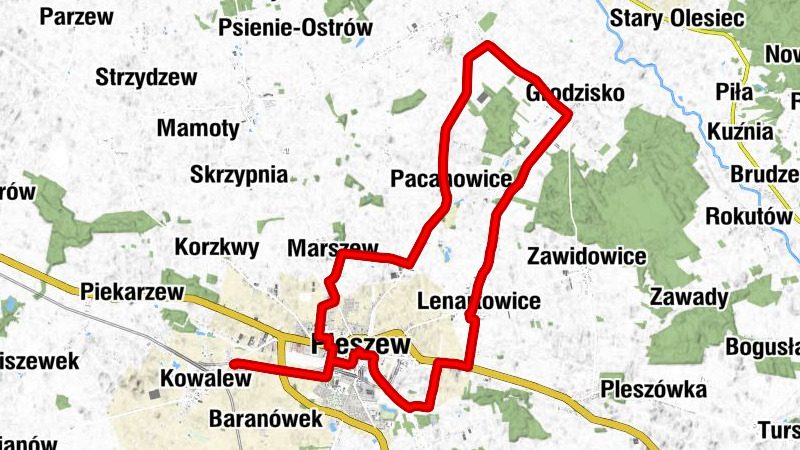 Pleszew - Kościół filialny pw. św. Floriana - Kościół pw. Najświętszej Maryi Panny Wniebowziętej