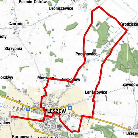 Pleszew - Kościół filialny pw. św. Floriana - Kościół pw. Najświętszej Maryi Panny Wniebowziętej