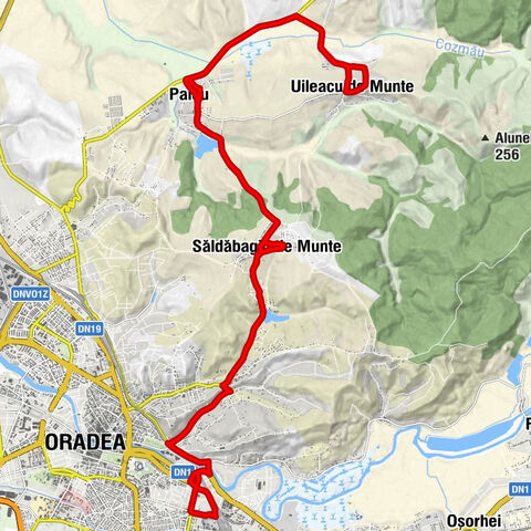 Oradea Est - Oradea - Biserica Romano-Catolică - Nepomuki Szent János-templom