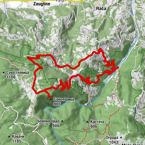 Манастир Рача - Горња Копривна - Соколарица - Соколина