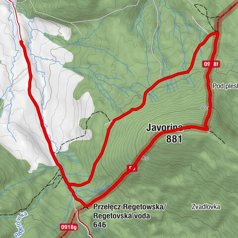 Kaplica Przeniesienia Relikwii św. Mikołaja Cudotwórcy - Javorina - Przełęcz Regetowska/Regetovská voda