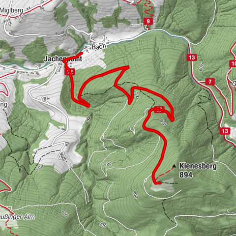 Kienesberg - Födinger Alm
