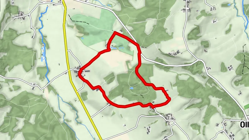 Around the Bühler Forest