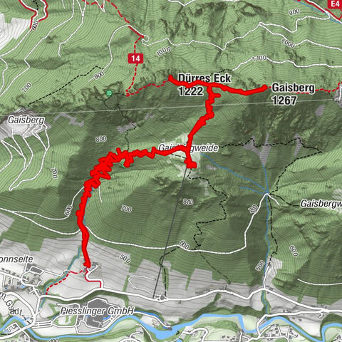 Gaisberg und Dürres Eck über Mollner Hütte