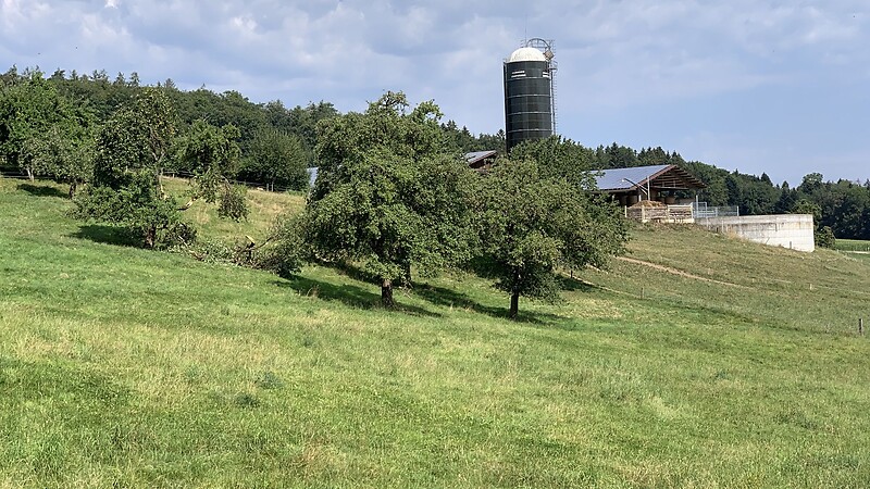Kartta