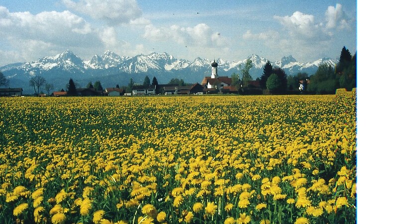Kartta