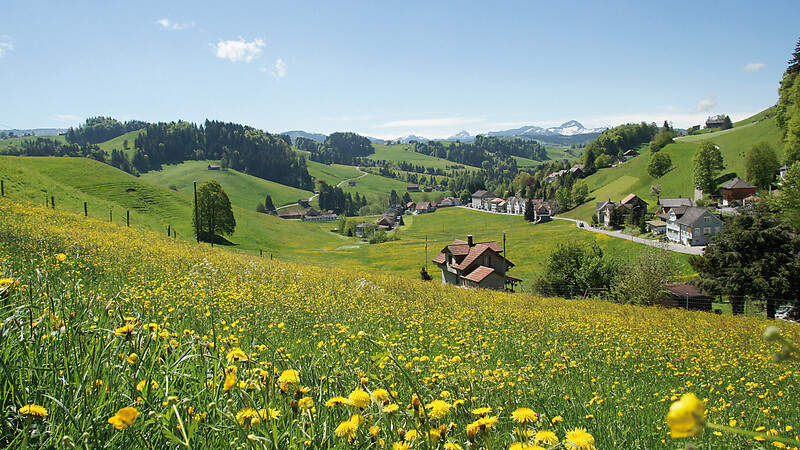 Kartta